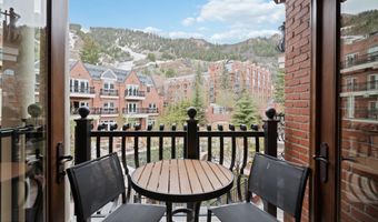 415 E Dean St Unit 20 Week 33, Aspen, CO 81611