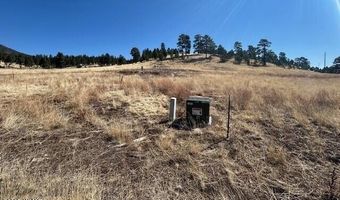 6 County Road 2331, Alpine, AZ 85920