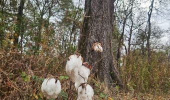 001 CR 532, Avalon, MS 38917