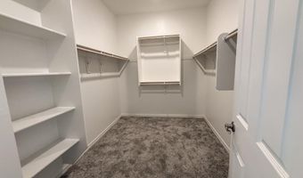 11017 W HADLEY St, Avondale, AZ 85323