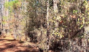 265 LOST POND Ln, Appling, GA 30802