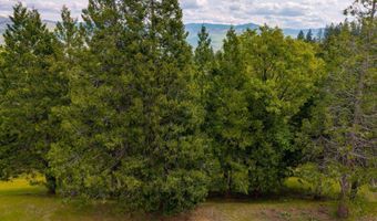 Terrace Street, Ashland, OR 97520