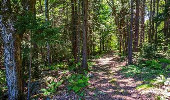 330 Spruce Dr, Andover, VT 05143
