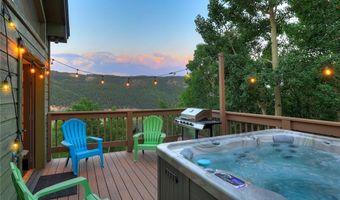 1095 QUARTZVILLE, Alma, CO 80440