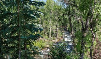 117 Neale Ave, Aspen, CO 81611