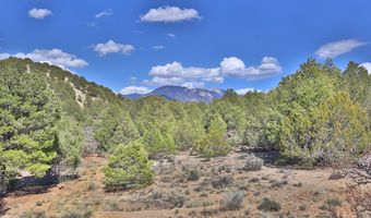92 Sandia Cyn, Arroyo Hondo, NM 87513