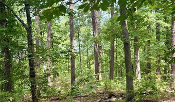 Paradise Lane, Bee Branch, AR 72013