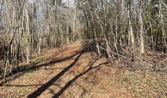 1978 Old Douglas Mill Rd, Abbeville, SC 29620