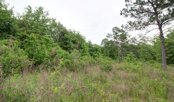 618 CR 2619, Alto, TX 75925