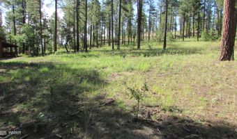 8 County Road 2194, Alpine, AZ 85920