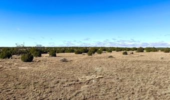 CR 8637 Lot # 210, Concho, AZ 85924
