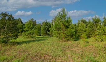 0 US Hwy 84 E, Andalusia, AL 36420