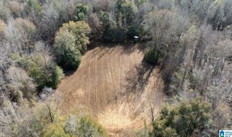BRUSH CREEK DRIVE, Akron, AL 35441