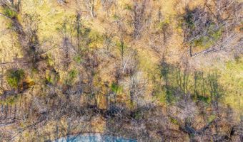 Puppy Creek, Amherst, VA 24521