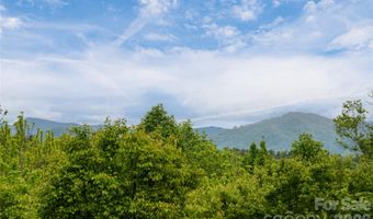 56 Donna Ln, Alexander, NC 28701