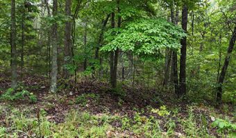 County Road Jj-416, Ava, MO 65608