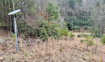 Lot # 133 Peaceful Valley Rec Retreat, Beattyville, KY 41311