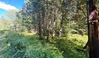 686 Wing Rd, Bethlehem, NH 03574
