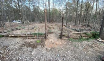 12700 PLANT Rd, Alpine, AL 35014