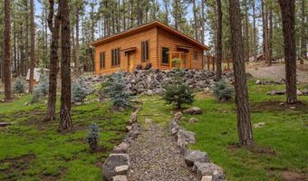 24 County Rd 2267, Alpine, AZ 85920