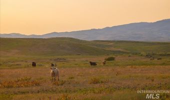 3127 Us Hwy 95, Cambridge, ID 83610