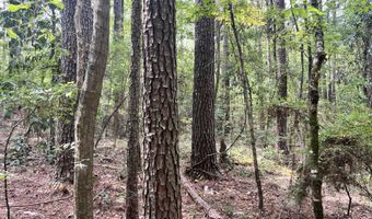 Brock Cir, Brandon, MS 39042