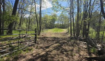 15252 27 Mile Rd, Albion, MI 49224