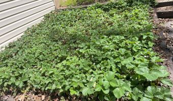 1913 Wayside Ln, Ava, MO 65608