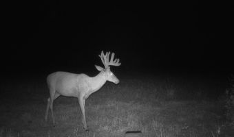 607 Hwy 69, Arma, KS 66712