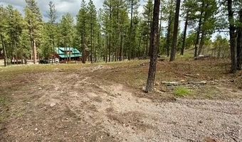 7 Eric Ln, Alpine, AZ 85920