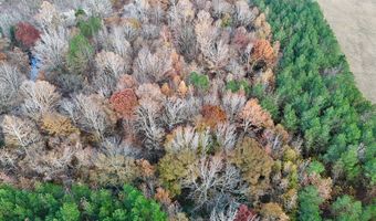 HWY 9, Bruce, MS 38915