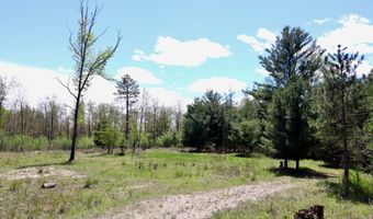 La Grant Road, Alger, MI 48610