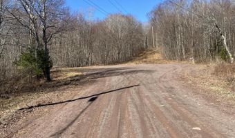 L21.1 Alder Pond Road, Andes, NY 13740