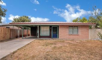 724 E Ellis Ave, Alamo, TX 78516