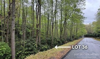 Daisy Ridge Road lot 36, Banner Elk, NC 28604