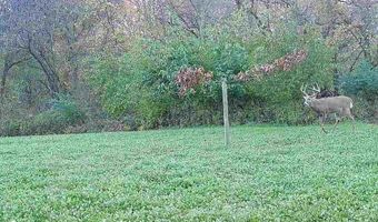 560 Th Ave, Albia, IA 52531