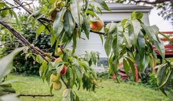704 Miller St, Alton, IL 62002