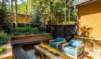 303 W Hopkins Ave, Aspen, CO 81611