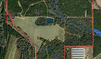 County Road 127, Banks, AL 36005