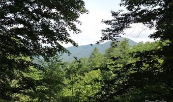 103 Chucks Ln, Bakersville, NC 28705