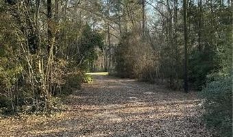 21305 HWY 1061, Amite, LA 70422