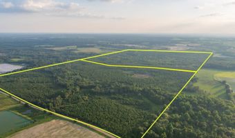 Mann Road, Arabi, GA 31712