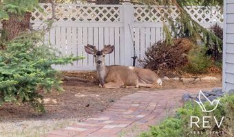 1244 Bleistein Ave, Cody, WY 82414