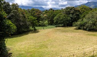 PUUOPAE RD, Kapaa, HI 96746