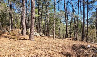 34 NE E St, Antlers, OK 74523