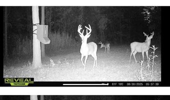 32 Acres Wesson Gap Rd, Attalla, AL 35954