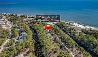 27 Harry Morrison Rd, Alligator Point, FL 32346