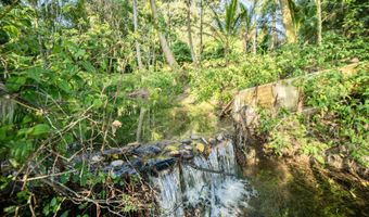 29-509 CHIN CHUCK Rd, Hakalau, HI 96710