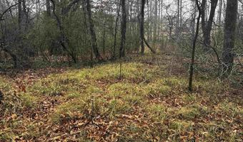 67 Old Wire Rd, Atkins, AR 72823