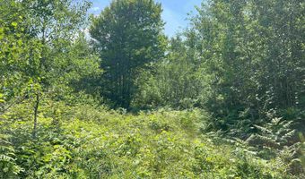 26 Acres Hilltop Kelso, Crystal Falls, MI 49920